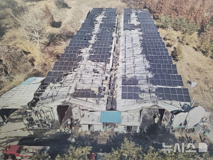 [괴산=뉴시스] 괴산 양계장 화재 현장 (사진= 괴산소방서 제공) 2025.11.21. photo@newsis.com *재판매 및 DB 금지