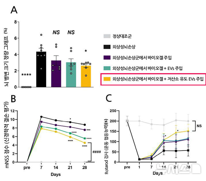 [성남=뉴시스]분당차병원 외상성뇌손상 연구 그래프(사진=분당차병원 제공)2025.11.21.photo@newsis.com