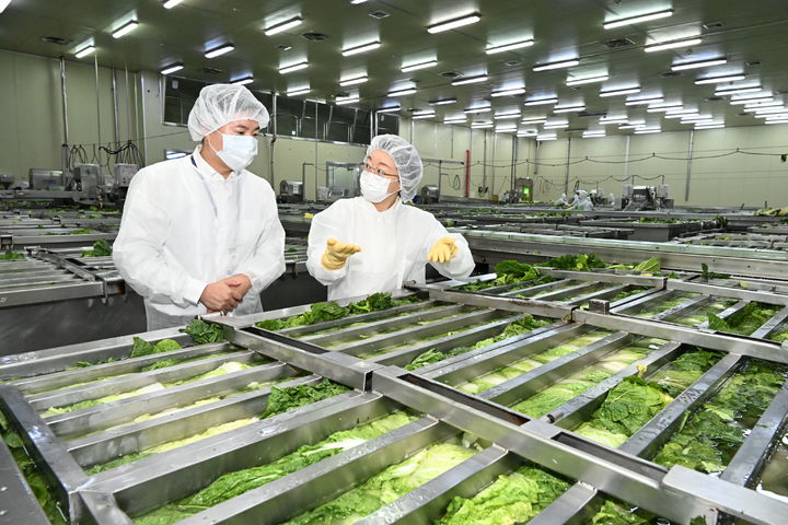 [서울=뉴시스] 식품의약품안전처 오유경 처장은 21일 전남 해남군에 있는 절임배추 생산업체 화원농협과 목포시 소재 마른김 생산업체&nbsp; 해농을 방문해 안전관리 현황을 점검했다. (사진=식약처 제공) 2025.11.21. photo@newsis.com *재판매 및 DB 금지