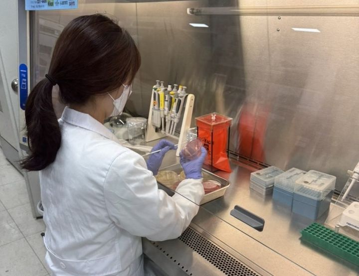 충북보건환경연구원 CRE 감염증 검사 모습. (사진=충북보건환경연구원 제공) *재판매 및 DB 금지