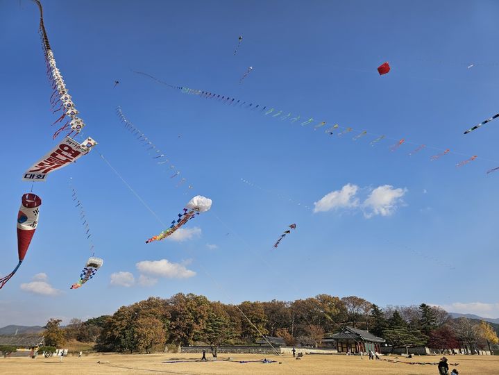 [서산=뉴시스] 김덕진 기자=맑은 하늘에 살랑바람이 적당히 부는 22일 '제9회 서산해미읍성연날리기대회'가 열린 읍성 안 말똥지기가 날린 연들이 하늘을 줄지어 날며 관광객의 시선을 모은다. 2025.11.22. spark@newsis.com *재판매 및 DB 금지
