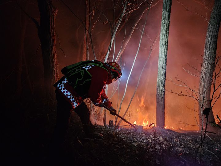 [양양=뉴시스] 22일 양양 서면 인근 야산에서 산불이 발생한 가운데 산림청 진화대원이 진화에 나서고 있다.(사진=산림청 제공)photo@newsis.com *재판매 및 DB 금지