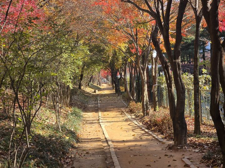 [대전=뉴시스]대전 한밭수목원 맨발길. 2025. 11. 23 photo@newsis.com *재판매 및 DB 금지