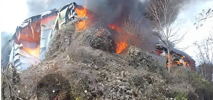 [안성=뉴시스] 경기 안성시의 한 골판지 제조업체에서 불이 났다. (사진=경기도소방재난본부 제공) 2025.11.23. photo@newsis.com *재판매 및 DB 금지