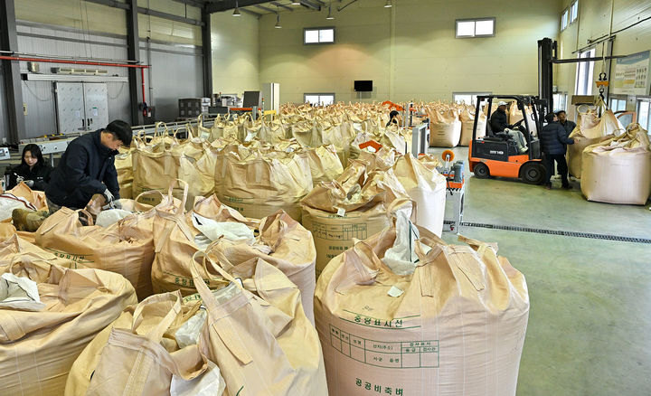 정선군의 2025년산 공공비축미·친환경 벼 매입 모습.(사진=정선군 제공) *재판매 및 DB 금지