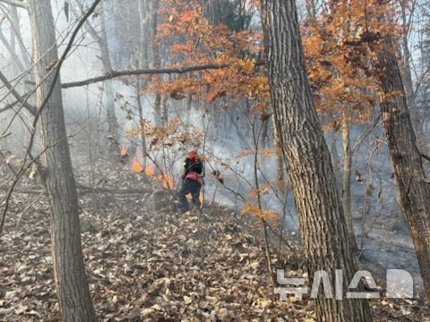 [단양=뉴시스] 산불 진화 사진 (사진=산림청 제공) 2025.11.24. photo@newsis.com *재판매 및 DB 금지