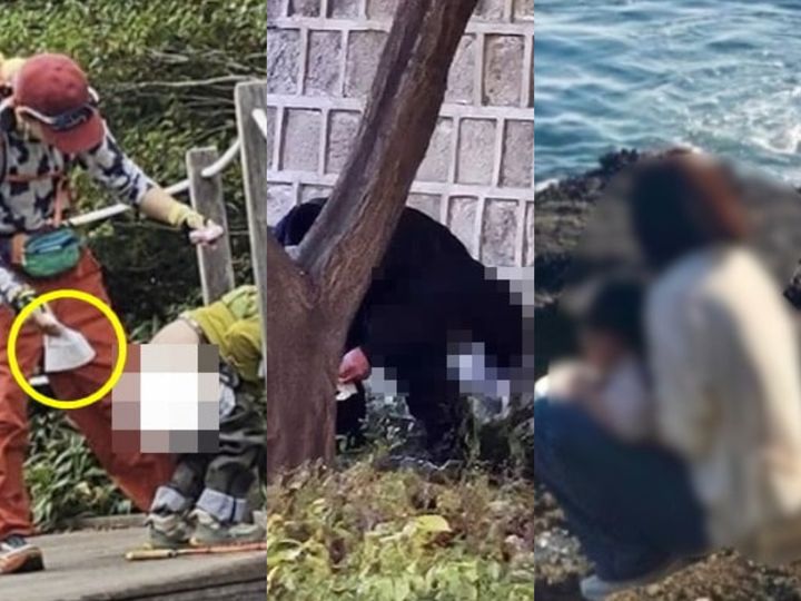 왼쪽부터 한라산 신고 게시물, 경복궁 현장 사진, 용머리해안 목격 사진 순이다. 2025.11.24, (사진=소셜미디어 및 목격자 게시글 캡처) *재판매 및 DB 금지