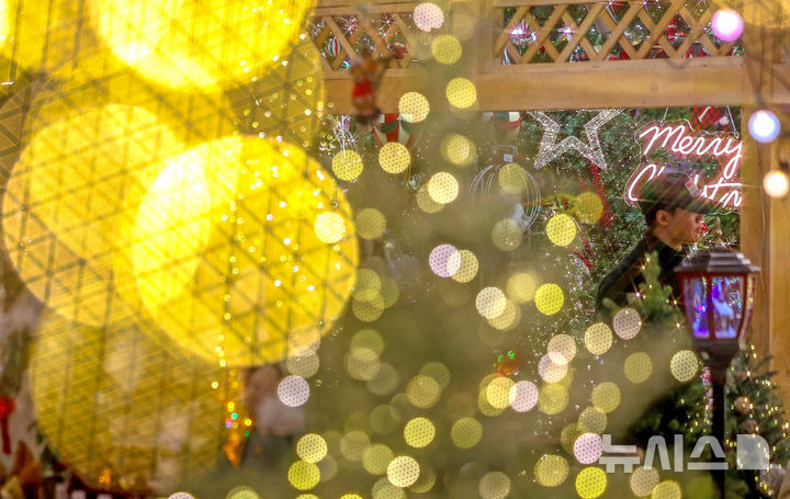 [대구=뉴시스] 이무열 기자 = 크리스마스를 한 달여 앞둔 24일 대구 북구 꽃 백화점을 찾은 한 시민이 크리스마스 소품과 트리를 살펴보고 있다. 2025.11.24. lmy@newsis.com