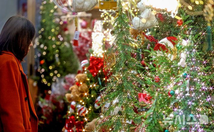 [대구=뉴시스] 이무열 기자 = 크리스마스를 한 달여 앞둔 24일 대구 북구 꽃 백화점을 찾은 한 시민이 크리스마스 소품과 트리를 살펴보고 있다. 2025.11.24. lmy@newsis.com