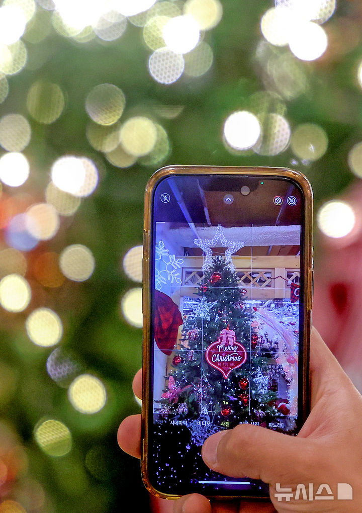 [대구=뉴시스] 이무열 기자 = 크리스마스를 한 달여 앞둔 24일 대구 북구 꽃 백화점을 찾은 한 시민이 크리스마스 소품과 트리를 살펴보고 있다. 2025.11.24. lmy@newsis.com