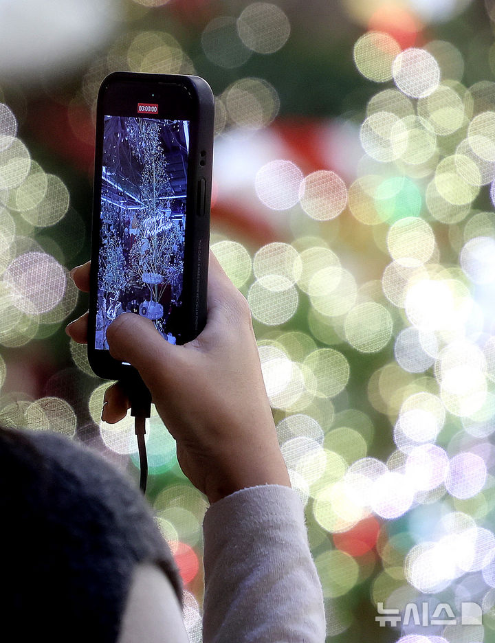 [대구=뉴시스] 이무열 기자 = 크리스마스를 한 달여 앞둔 24일 대구 북구 꽃 백화점을 찾은 한 시민이 크리스마스 소품과 트리를 살펴보고 있다. 2025.11.24. lmy@newsis.com