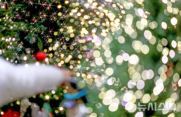 [대구=뉴시스] 이무열 기자 = 크리스마스를 한 달여 앞둔 24일 대구 북구 꽃 백화점을 찾은 한 시민이 크리스마스 소품과 트리를 살펴보고 있다. 2025.11.24. lmy@newsis.com