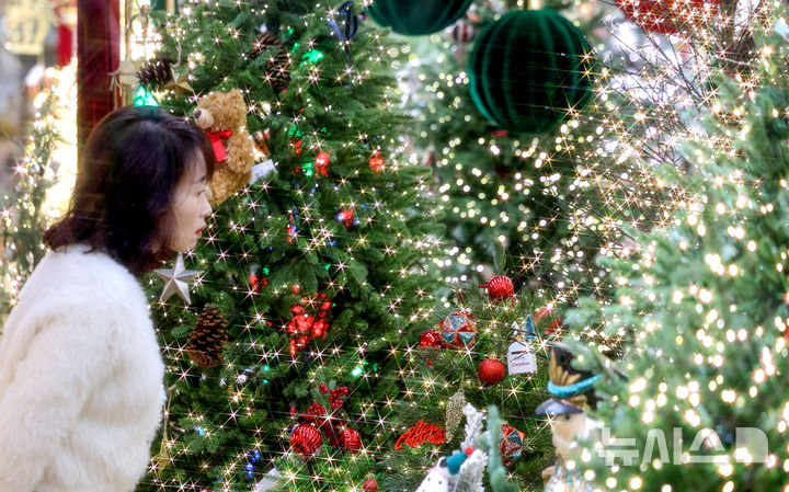 [대구=뉴시스] 이무열 기자 = 크리스마스를 한 달여 앞둔 24일 대구 북구 꽃 백화점을 찾은 한 시민이 크리스마스 소품과 트리를 살펴보고 있다. 2025.11.24. lmy@newsis.com