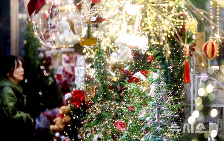 [대구=뉴시스] 이무열 기자 = 크리스마스를 한 달여 앞둔 24일 대구 북구 꽃 백화점을 찾은 한 시민이 크리스마스 소품과 트리를 살펴보고 있다. 2025.11.24. lmy@newsis.com