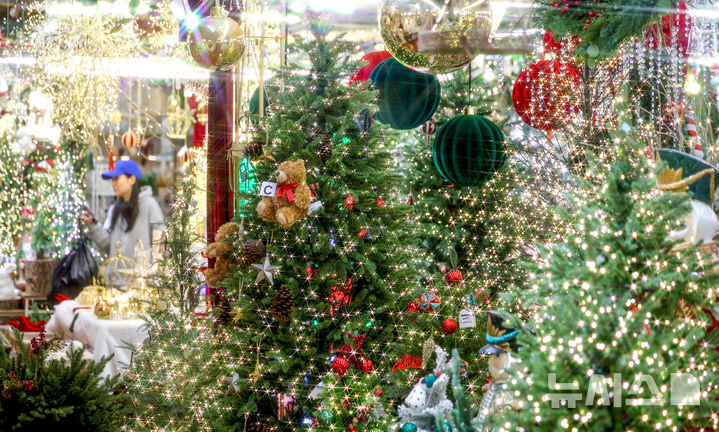 [대구=뉴시스] 이무열 기자 = 크리스마스를 한 달여 앞둔 24일 대구 북구 꽃 백화점을 찾은 한 시민이 크리스마스 소품과 트리를 살펴보고 있다. 2025.11.24. lmy@newsis.com