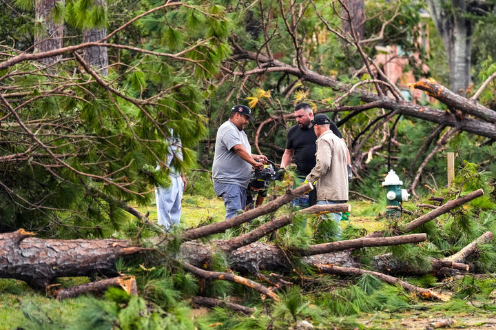 [텍사스주=AP/뉴시스] 24일(현지 시간) 미국 텍사스주 메모리얼 노스웨스트 지역에서 주민들이 토네이도로 인해 쓰러진 나무를 치우고 있다. 2025.11.25.