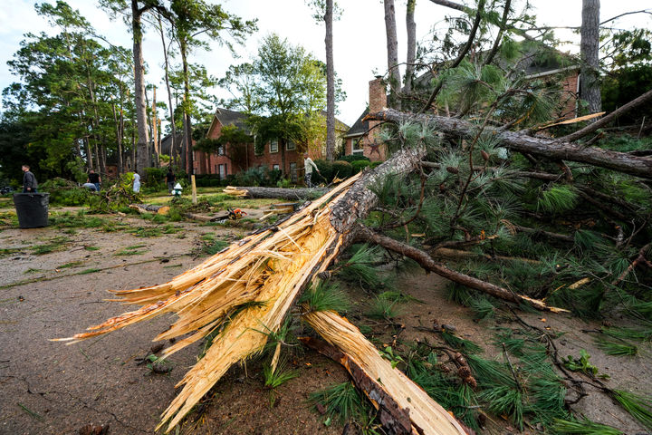 [휴스턴= AP/뉴시스] 텍사스주 휴스턴 일대를 강타한 토네이도로 교외의 스프링 지역 숲의 거대한 나무들이 11월 24일 뿌리채 뽑히거나 쓰러져 있다. 2025 .11.26. 