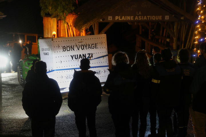 [생아이냥쉬르쉐(프랑스)=AP/뉴시스]프랑스의 유명한 스타 자이언트 판다 부부가 25일(현지시각) 중국으로 떠나기 위해 생아이냥쉬르쉐의 보발 동물원을 떠나는 것을 프랑스인들이 지켜보고 있다. 13년 동안 프랑스에서 살면서 새끼 3마리를 낳은 스타 자이언트 판다 2마리가 25일 중국으로 돌아가기 위해 동물원을 떠났다고 보발 동물원이 밝혔다. 2025.11.26.