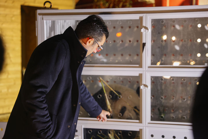 [생아이낭쉬르쉐(프랑스)=AP/뉴시스]프랑스 보발 파크 동물원의 로돌프 델로드 원장이 25일 프랑스 생아이냥쉬르쉐의 보발 동물원에서 중국으로 돌날아갈 2마리의 판다 중 1마리가 들어 있는 우리 옆에 서 있다. 13년 동안 프랑스에서 살면서 새끼 3마리를 낳은 스타 자이언트 판다 2마리가 25일 중국으로 돌아가기 위해 동물원을 떠났다고 보발 동물원이 밝혔다. 2025.11.26.