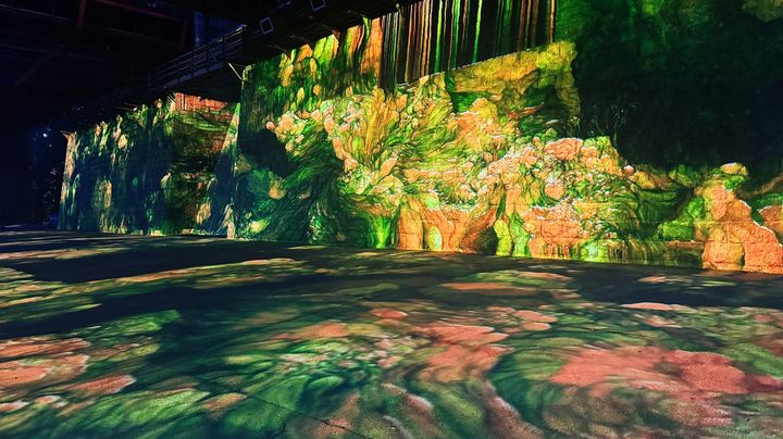 [서울=뉴시스]정윤수-로즐린.