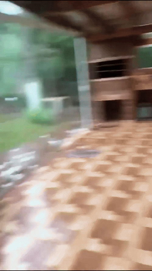 [뉴시스] 브라질 히우그란지두술주(州) 에레쉰(Erechim)시의 한 주택에 우박이 떨어지는 모습. (영상=엑스) 2025.11.25 *재판매 및 DB 금지