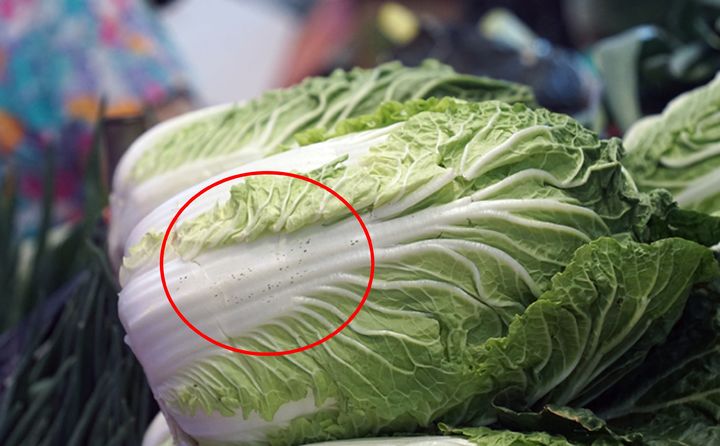 [서울=뉴시스] 사진은 기사의 이해를 돕기 위한 이미지. *재판매 및 DB 금지 *재판매 및 DB 금지