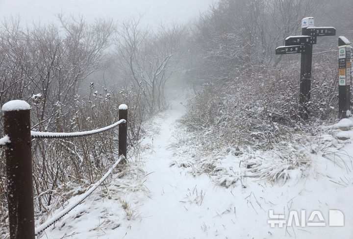 [태백=뉴시스] 홍춘봉 기자 = 25일 태백산국립공원 정상부근의 만경사 주변에 늦가을 첫 눈이 쌓이고 있다.(사진=태백산국립공원 제공)2025.11.25.casinohong@newsis.com