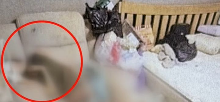 [뉴시스]부사관 A씨의 아내가 오물과 뒤섞인 채 1인용 소파에 버려지듯 기대있는 모습. (사진 = JTBC 캡처) *재판매 및 DB 금지