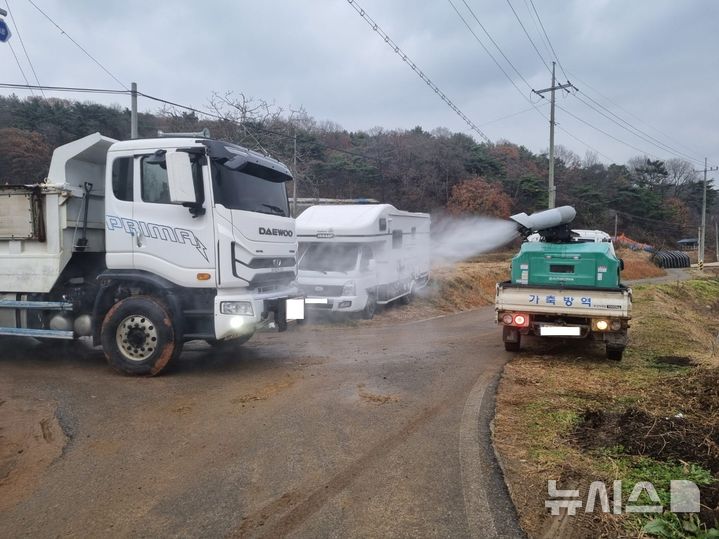강릉 양돈농장 아프리카돼지열병 발생…48시간 이동중지