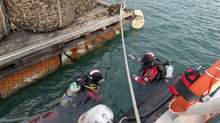 [통영=뉴시스] 통영해경 구조대원들이 바닷물에 입수하여 수색작업을 펼치고 있는 모습. (사진=통영해경 제공) 2025.11.25. photo@newsis.com *재판매 및 DB 금지
