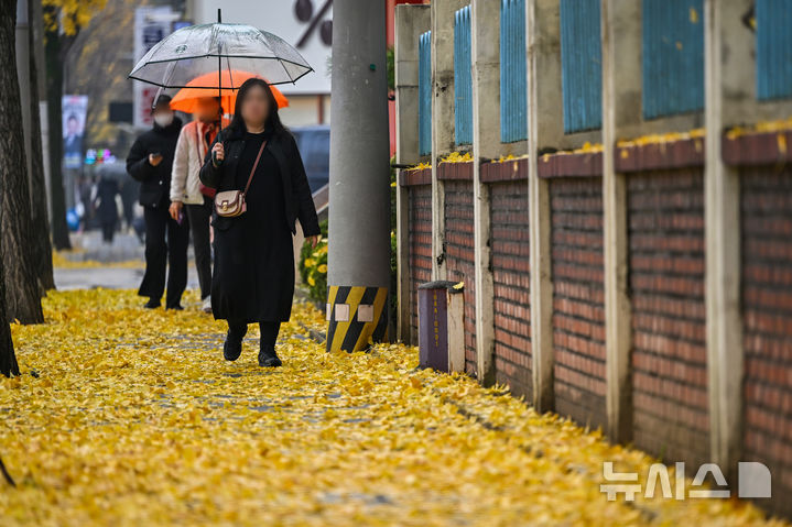 [광주=뉴시스] 이영주 기자 = 광주지역에 가을비가 내리고 있는 25일 오전 광주 북구 오치동 한 거리에 깔린 은행잎 위로 시민들이 발걸음을 재촉하고 있다. 이날 하루동안 광주·전남에는 5~10㎜ 비가 내릴 것으로 예보된 가운데 오전 8시 기준 광주·전남지역 누적강수량은 담양 4.5㎜, 영광 4.1㎜, 곡성 3.5㎜, 장성 3.0㎜, 광주 1.5㎜ 등을 기록하고 있다. 2025.11.25. leeyj2578@newsis.com