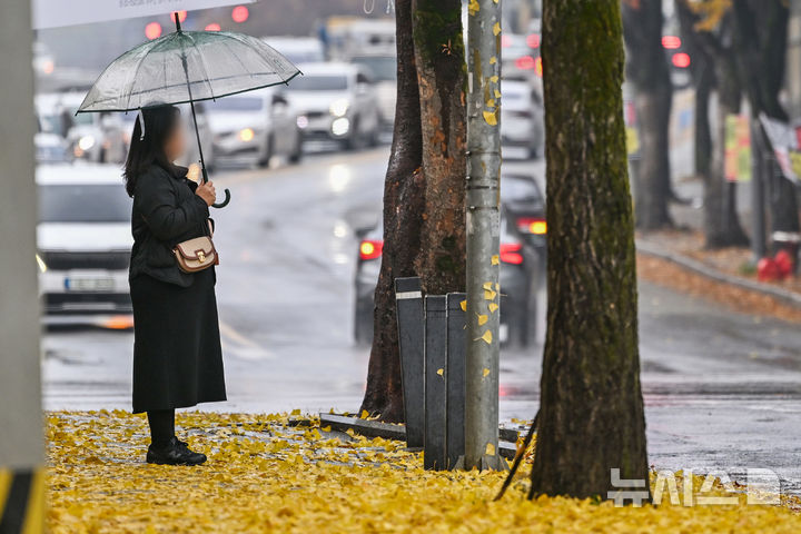 [광주=뉴시스] 이영주 기자 = 광주지역에 가을비가 내리고 있는 25일 오전 광주 북구 오치동 한 거리에 깔린 은행잎 위로 시민이 횡단보도 신호를 기다리고 있다. 이날 하루동안 광주·전남에는 5~10㎜ 비가 내릴 것으로 예보된 가운데 오전 8시 기준 광주·전남지역 누적강수량은 담양 4.5㎜, 영광 4.1㎜, 곡성 3.5㎜, 장성 3.0㎜, 광주 1.5㎜ 등을 기록하고 있다. 2025.11.25. leeyj2578@newsis.com