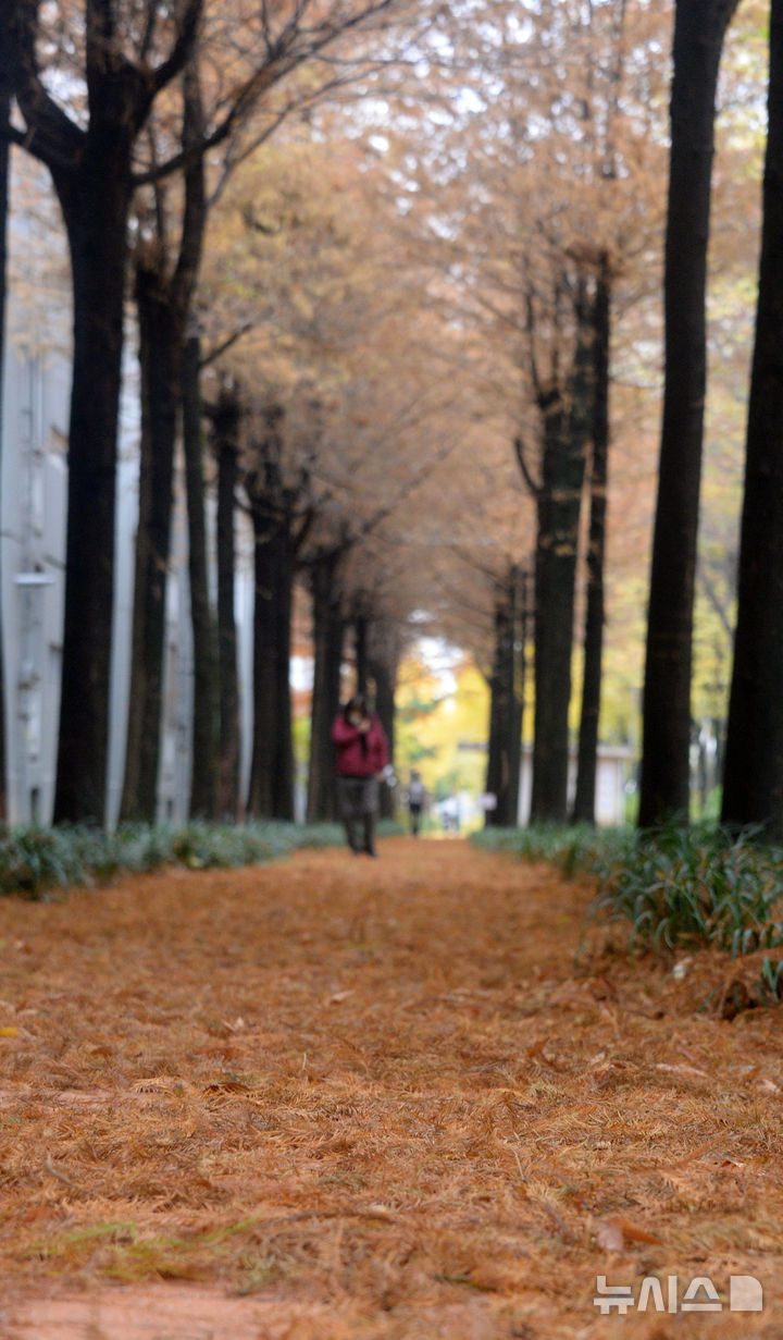 [전주=뉴시스] 김얼 기자 = 쌀쌀한 가을 날씨가 이어지고 있는 25일 전북 전주시 완산구 온고을로에서 시민들이 낙엽을 밟으며 산책을 즐기고 있다. 2025.11.25. pmkeul@newsis.com