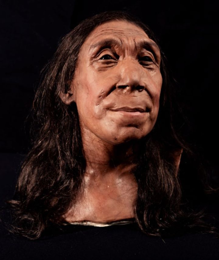 [뉴시스] 2024년 케임브리지대의 과학 연구진이 '샤니다르Z(Shanidar Z)' 라는 이름의 네안데르탈인 여성의 얼굴을 재현했다. 수만년 전 아프리카에서 북쪽으로 이동안 호포 사피엔스 여성들이 네안데르탈 남성들을 짝짓기 상대로 선호했다는 연구결과가 발표됐다. (사진 = 케임브리지대) 2026.2.27. *재판매 및 DB 금지