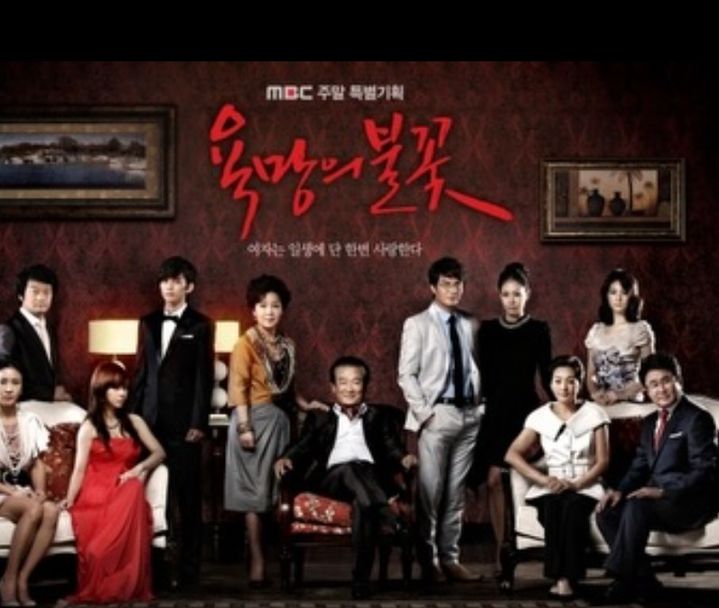 [서울=뉴시스] 배우 서우가 별세한 배우 故 이순재를 향한 그리움과 존경을 전했다. 서우가 공개한 사진에는 MBC 주말드라마 '욕망의 불꽃'에서 이순재와 함께했던 순간들이 담겨 있다. (사진=서우 인스타그램 캡처) 2025.11.26. photo@newsis.com  *재판매 및 DB 금지