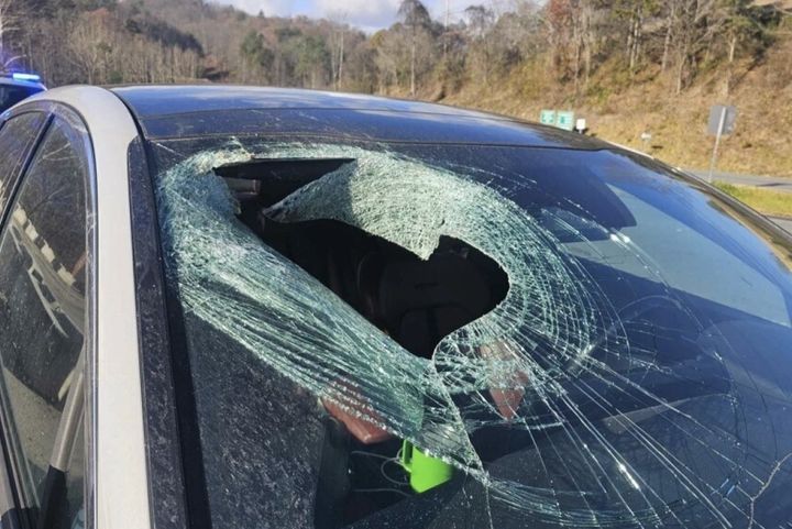 [노스케롤라이나주=AP/뉴시스] 19일(현지시각) AP 통신에 따르면 미국 노스캐롤라이나 서부, 그레이트 스모키 산맥 국립공원 인근 고속도로를 달리던 차량의 조수석 앞유리가 고양이 사체가 떨어지면서 산산조각 나는 사고가 발생했다. *재판매 및 DB 금지