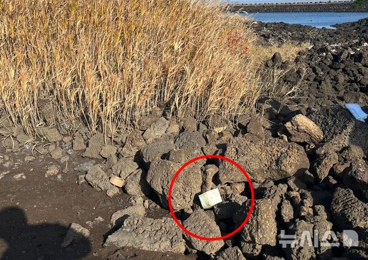 [제주=뉴시스] 26일 오전 제주시 구좌읍 해안가 인근 습지에서 중국 차 포장지에 위장된 케타민 약 1㎏이 발견됐다. (사진=제주지방해양경찰청 제공) 2025.11.26. photo@newsis.com