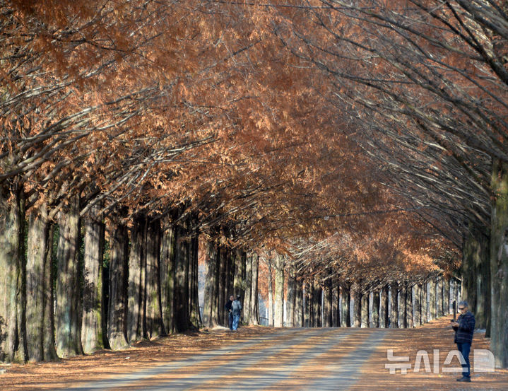 대구·경북, 구름 많고 '쌀쌀'…아침 영하 5도·한낮 11도