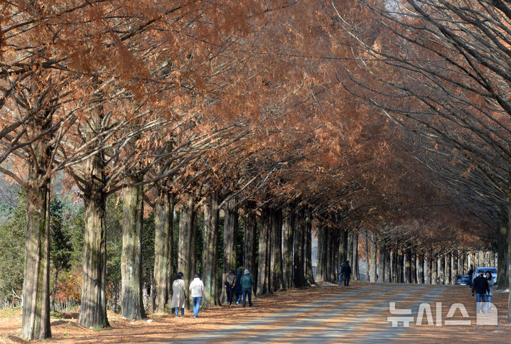 대구·경북, 아침 0도·한낮 18도…"짙은 안개 유의"