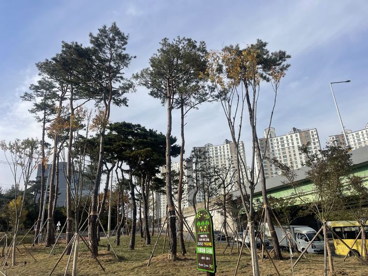 [청주=뉴시스] 충북 청주시 서원구 남이면 가마교차로 도시숲. photo@newsis.com *재판매 및 DB 금지