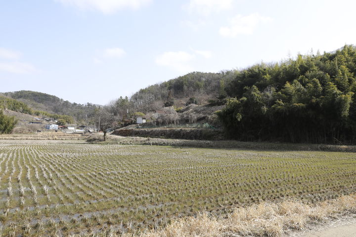 [서울=뉴시스] 도기소 '반룡진' 전경 (사진=국가유산청 제공) 2025.11.27. photo@newsis.com *재판매 및 DB 금지