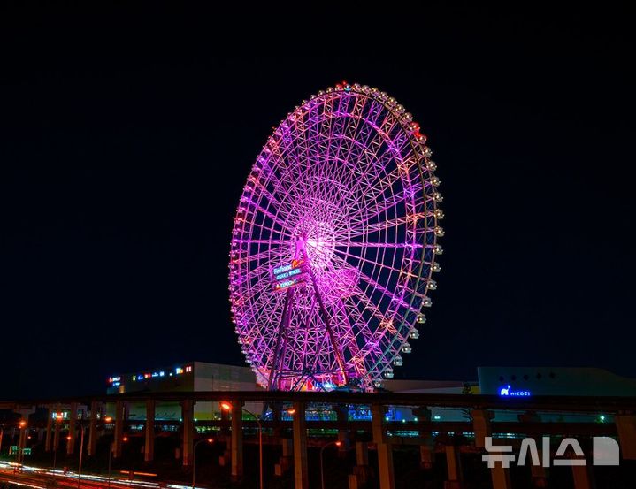 [서울=뉴시스]오사카 관람차, 벼락 맞고 '스톱'…승객들 공중 9시간 고립 (사진 = 오사카관광국 홈페이지 캡처)