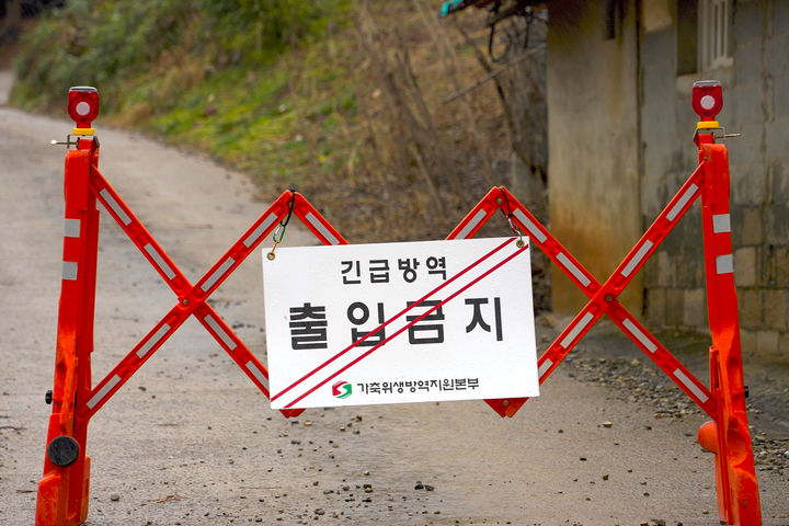 [당진=뉴시스] 충남 당진시가 지난 24일 ASF 발생이 확인된 송산면의 한 돼지농장 출입구에 '출입금지 표지판을 세워논 모습. (사진=당진시 제공) 2025.11.28. photo@newsis.com  *재판매 및 DB 금지