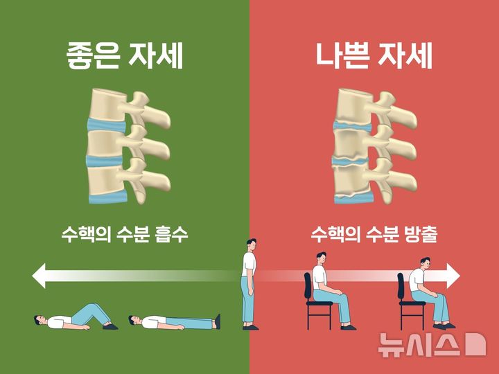 [서울=뉴시스] 신장이 1년 동안 2cm 이상 급격하게 줄어들었다면 척추압박골절을 의심해 봐야 한다. (사진= 힘찬병원 제공) 