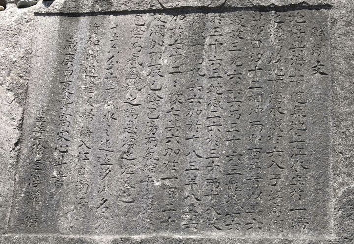 [서울=뉴시스] 금강의 물때를 기록한 해조문 바위(논산 강경읍) (사진=국가유산청 제공) 2025.11.28 photo@newsis.com *재판매 및 DB 금지