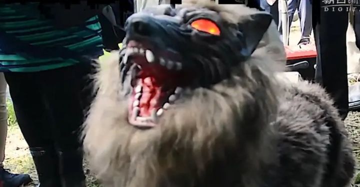 [뉴시스] 일본의 몬스터 울프. (사진=BBC 뉴스 갈무리) *재판매 및 DB금지 *재판매 및 DB 금지