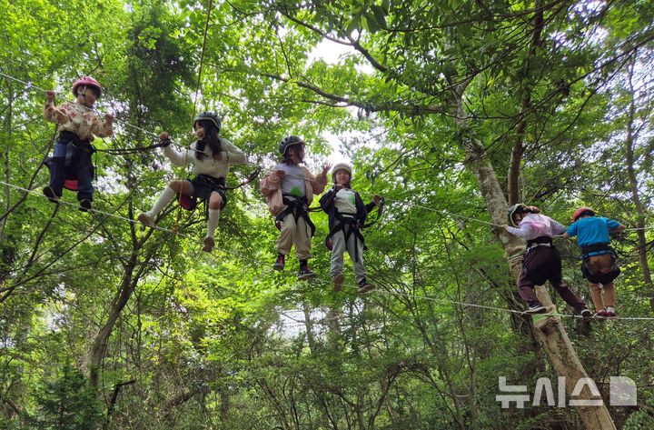 [제주=뉴시스] 양영전 기자 = 서귀포시 호근동 미로숲을 찾은 어린이들이 집라인을 타고 있는 모습. (사진=호근동생태관광협의체 제공)