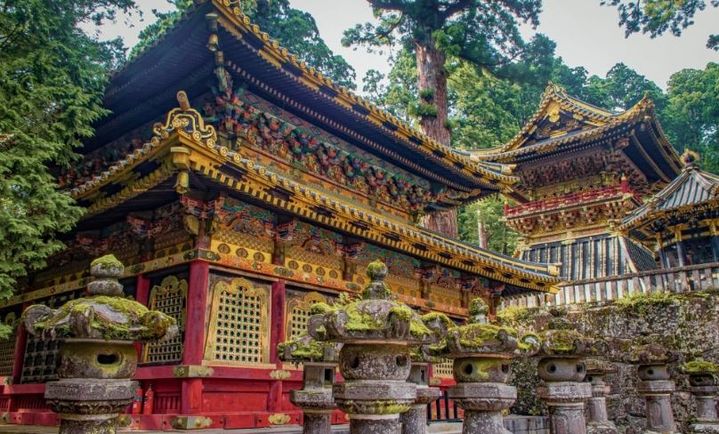 종이를 갉아먹는 미세한 침입 해충이 빠르게 확산하면서 일본의 귀중한 문화재와 역사 기록, 두루마리 문서 등이 심각한 피해를 입을 수 있다는 경고가 나오고 있다.2025.11.28.(사진=SCMP캡처) *재판매 및 DB 금지