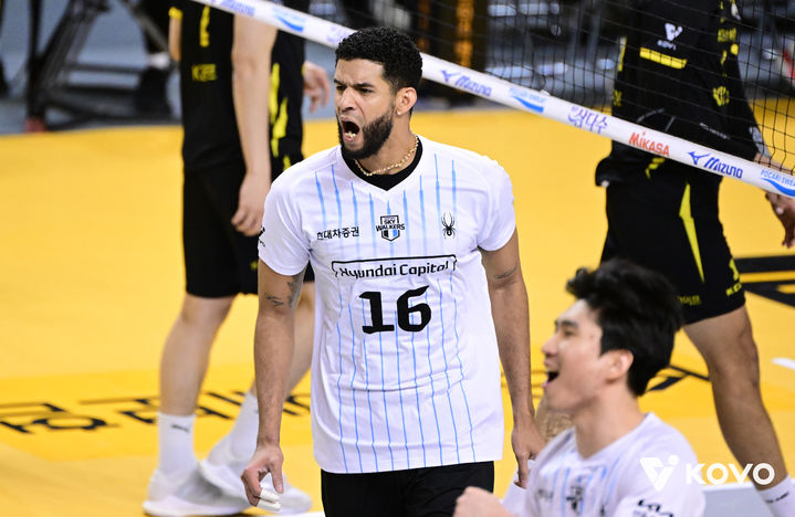 [서울=뉴시스] 남자 프로배구 현대캐피탈 레오가 29일 경기 의정부 경민대 체육관에서 열린 진에어 2025~2026 V-리그 남자부 KB손해보험과의 경기에서 득점에 성공한 뒤 환호하고 있다. (사진=KOVO 제공) 2025.11.29.