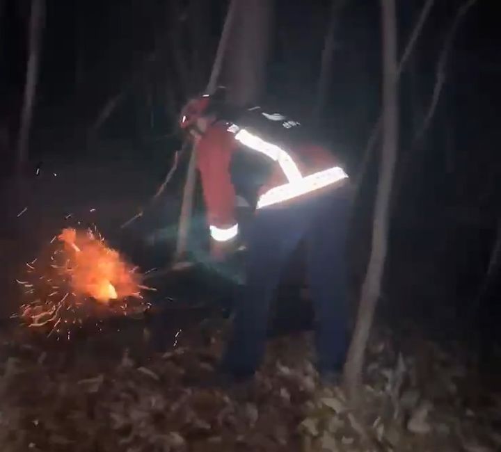 [대전=뉴시스] 30일 오전 발생한 충남 공주 산불을 진화하는 산림대원.(사진=산림청 제공) *재판매 및 DB 금지